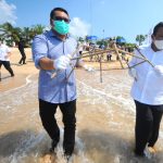 Dukung PEN-ICRG, Transplantasi 710 Terumbu Karang dan Lepas 7.100 Tukik di Bali