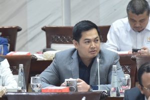 Anggota_Komisi_XI_DPR_RI_Tommy_Kurniawan__saat_mengikuti_Rapat_Kerja_(Raker)_dengan_Ketua_OJK_(Otori20250214124150