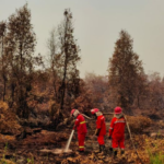 BNPB Prioritaskan Penanganan Karhutla di 6 Provinsi